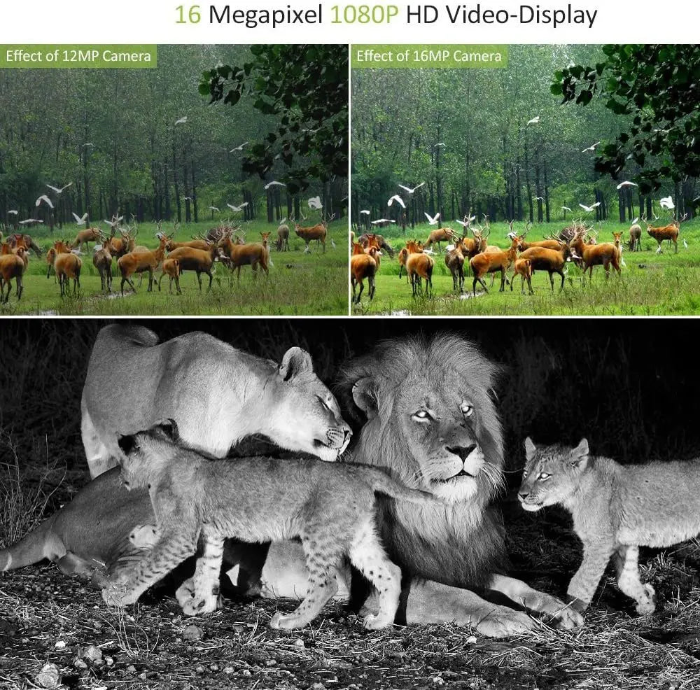 Hunting Trail Camera 20MP 1080P Outdoor Wildlife Cameras Surveillance Night Vision Photo Traps Mini301