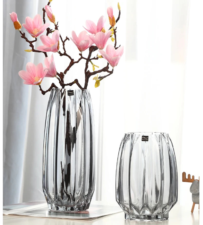 Vases Creative Large Glass Bottle Transparent Home Decor Hydroponic Terrarium Lily Rose Vase Living Room Flower Decoration