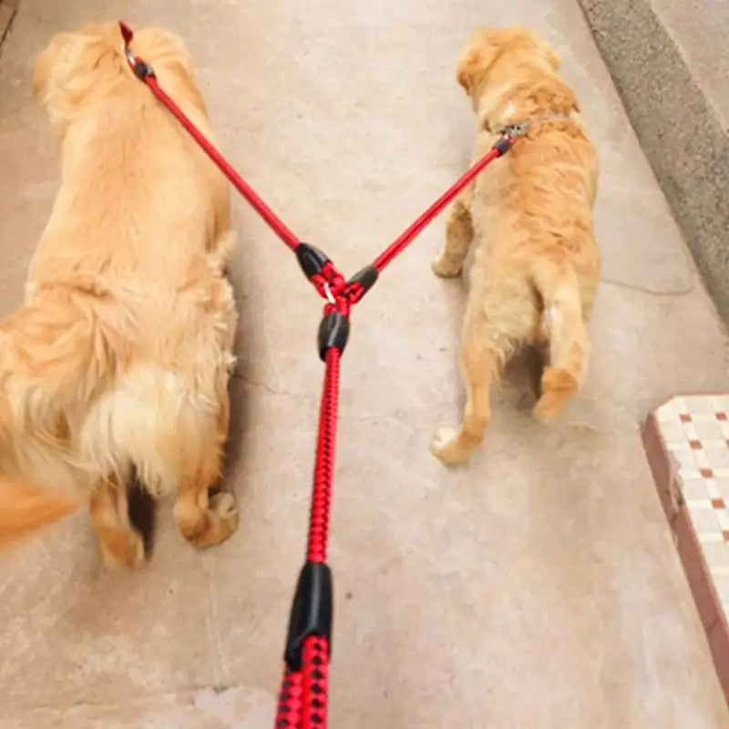 Pet Double High-quality Traction Rope for Dogs Leashes for 2 Dogs Convenient and Durable Leads