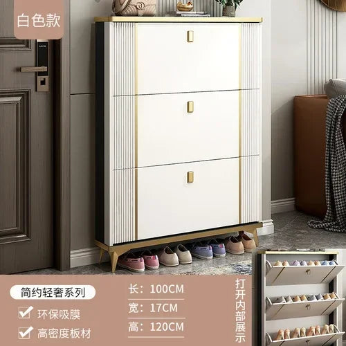Living Room Storage Shoe Rack Cabinets Shoes Organization Home Shoe-shelf Cabinet Organizers Tote Bag Armoires De Salon Rack