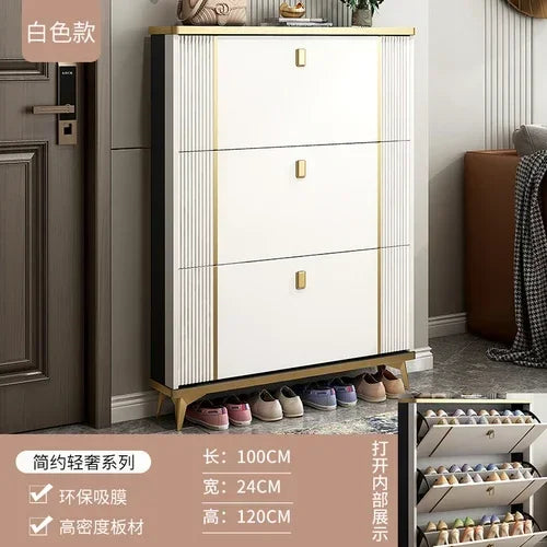 Living Room Storage Shoe Rack Cabinets Shoes Organization Home Shoe-shelf Cabinet Organizers Tote Bag Armoires De Salon Rack