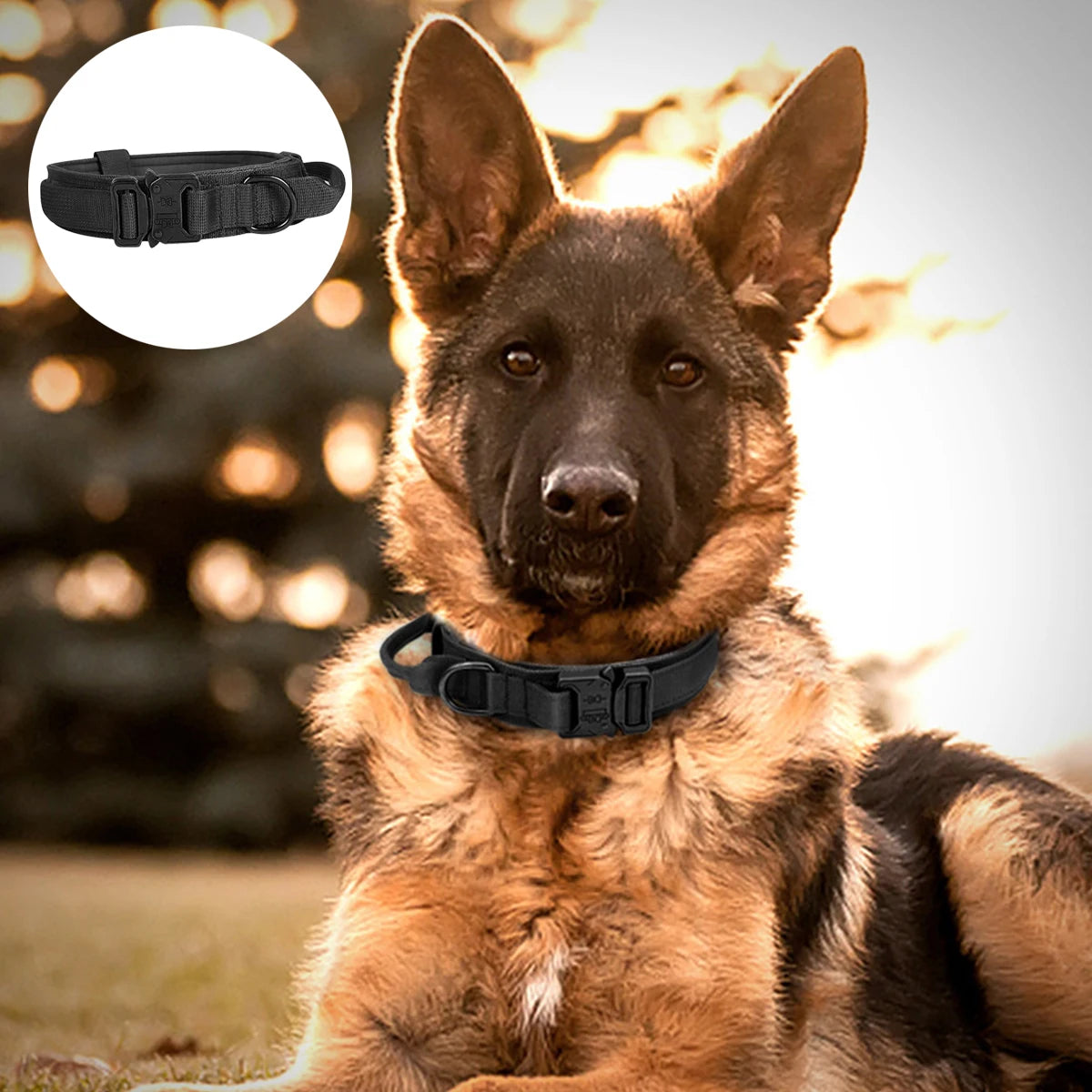 Pet Traction Rope Pet Walking Jogging Outdoor Training Adjustable Safety Nylon Pet Collar Pet Traction Rope Dog Accessories