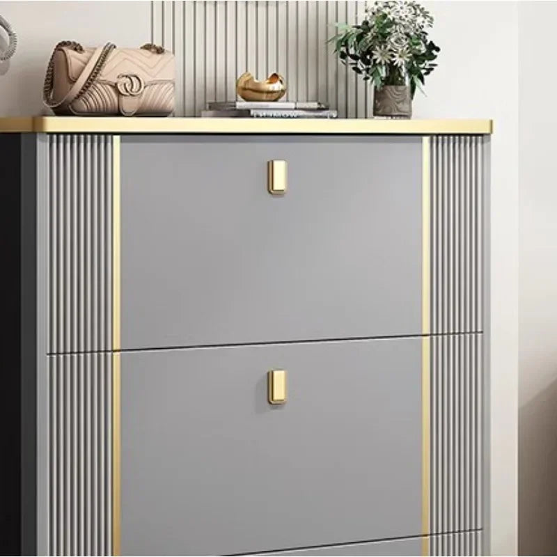 Living Room Storage Shoe Rack Cabinets Shoes Organization Home Shoe-shelf Cabinet Organizers Tote Bag Armoires De Salon Rack