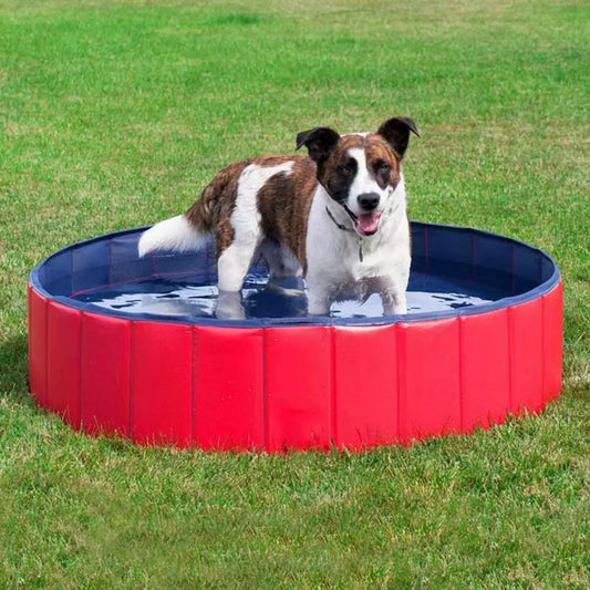 Pet Bath Tub，Interactive Cat Bath Pool Pet Water Playing Swimming Tub，Collapsible Portable Cat Bathtub，Dog Supplies