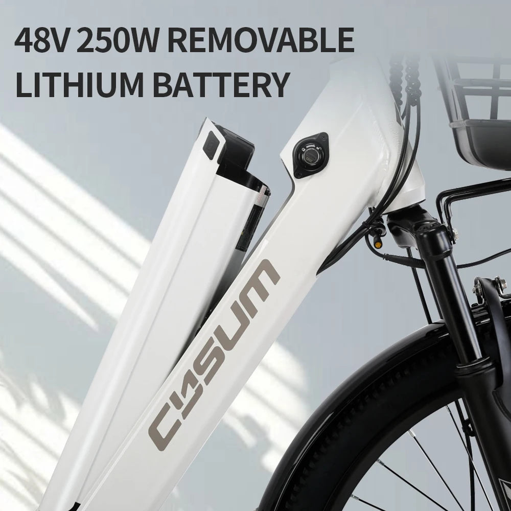 Electric Bicycle 26Inch 250W Motor Ebike 7Speed Removable Battery Pedal Assist with Basket Luggage Rack Urban Women City Ebike