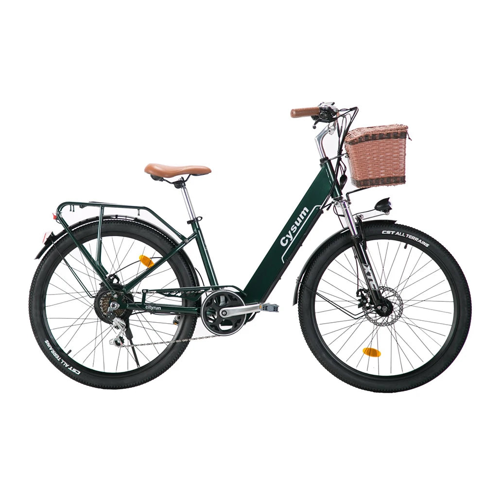 Electric Bicycle 26Inch 250W Motor Ebike 7Speed Removable Battery Pedal Assist with Basket Luggage Rack Urban Women City Ebike